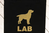 Labradori-kassi